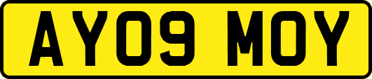 AY09MOY