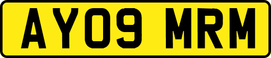 AY09MRM