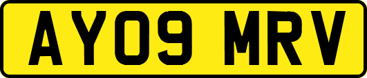 AY09MRV