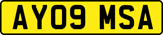 AY09MSA