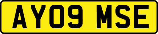 AY09MSE