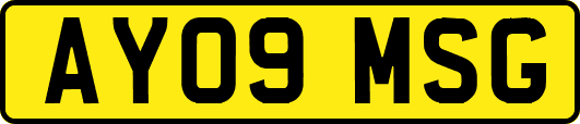 AY09MSG