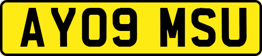 AY09MSU