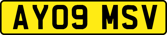 AY09MSV