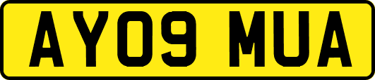 AY09MUA