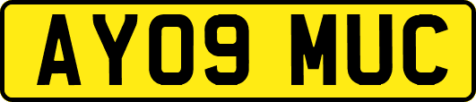 AY09MUC