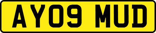 AY09MUD