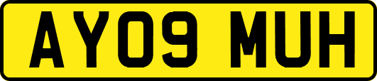 AY09MUH