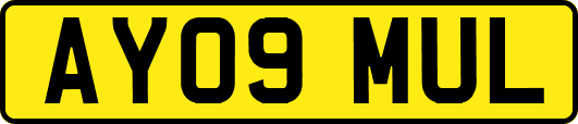 AY09MUL