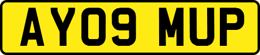 AY09MUP