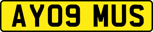 AY09MUS