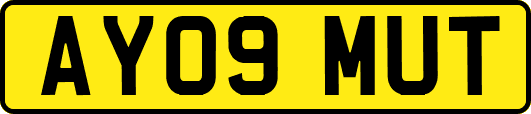 AY09MUT