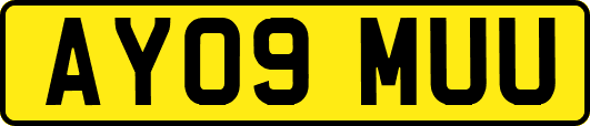 AY09MUU