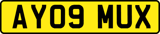 AY09MUX