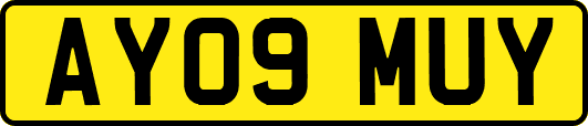 AY09MUY