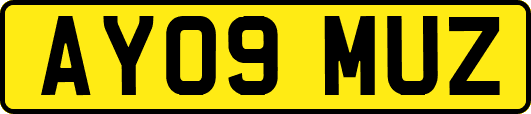 AY09MUZ