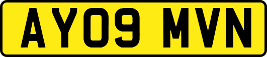 AY09MVN