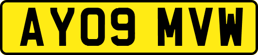 AY09MVW