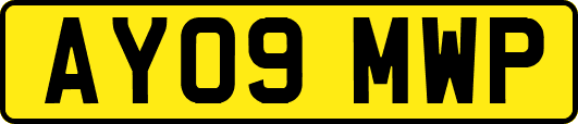 AY09MWP