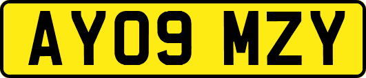AY09MZY