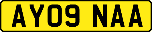 AY09NAA