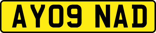 AY09NAD