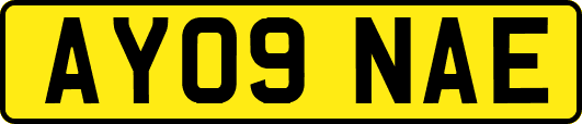 AY09NAE
