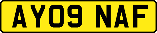 AY09NAF