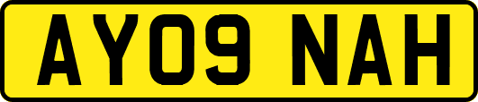AY09NAH