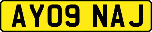 AY09NAJ