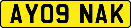 AY09NAK