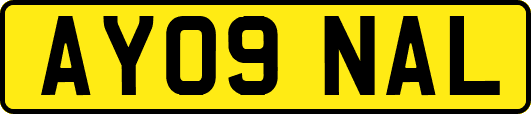 AY09NAL