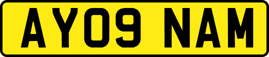 AY09NAM