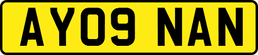 AY09NAN