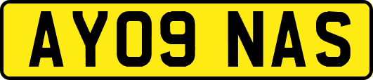 AY09NAS