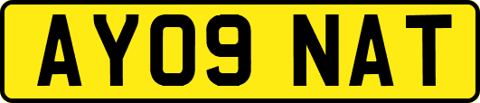 AY09NAT