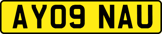 AY09NAU