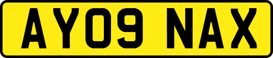 AY09NAX