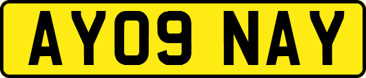 AY09NAY