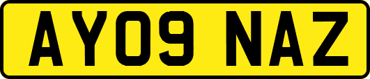 AY09NAZ