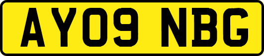AY09NBG