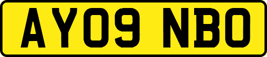 AY09NBO
