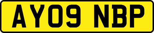 AY09NBP