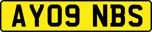 AY09NBS