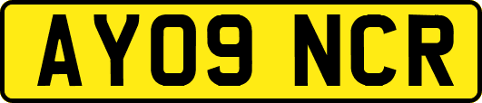 AY09NCR