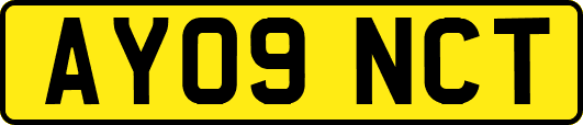 AY09NCT