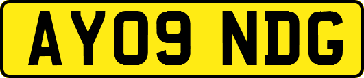 AY09NDG