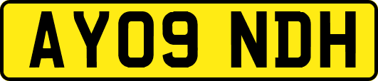 AY09NDH