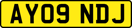 AY09NDJ