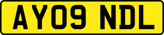 AY09NDL
